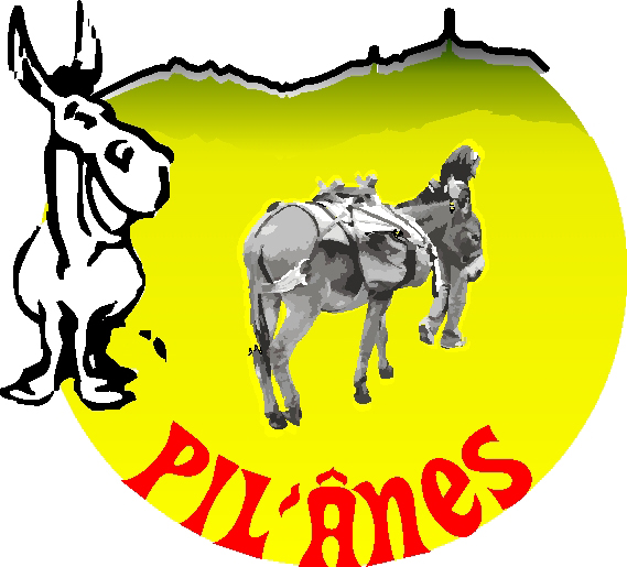 logo site